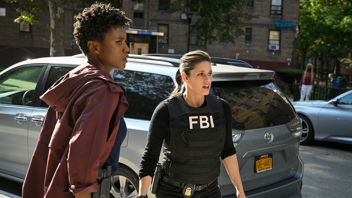 fbi: special crime unit