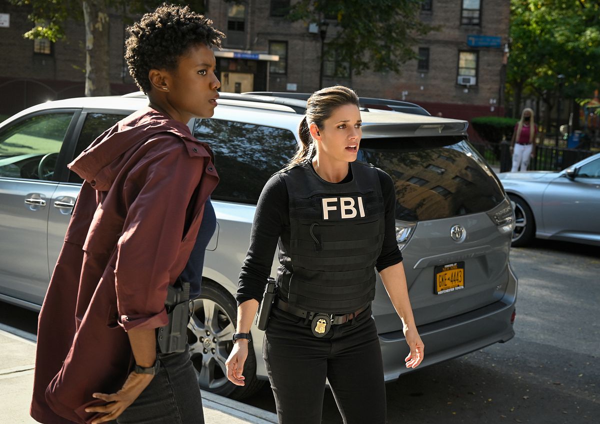 FBI: Special Crime Unit fbi: special crime unit