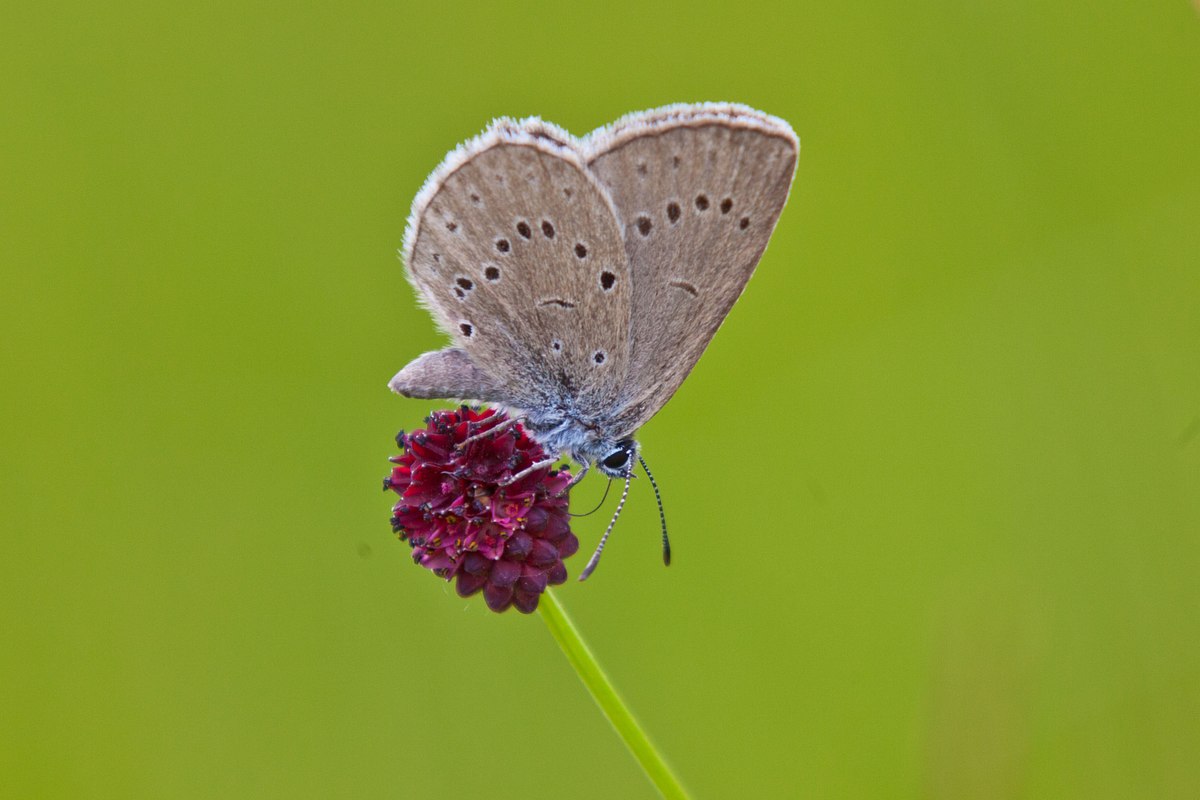 welt der tiere