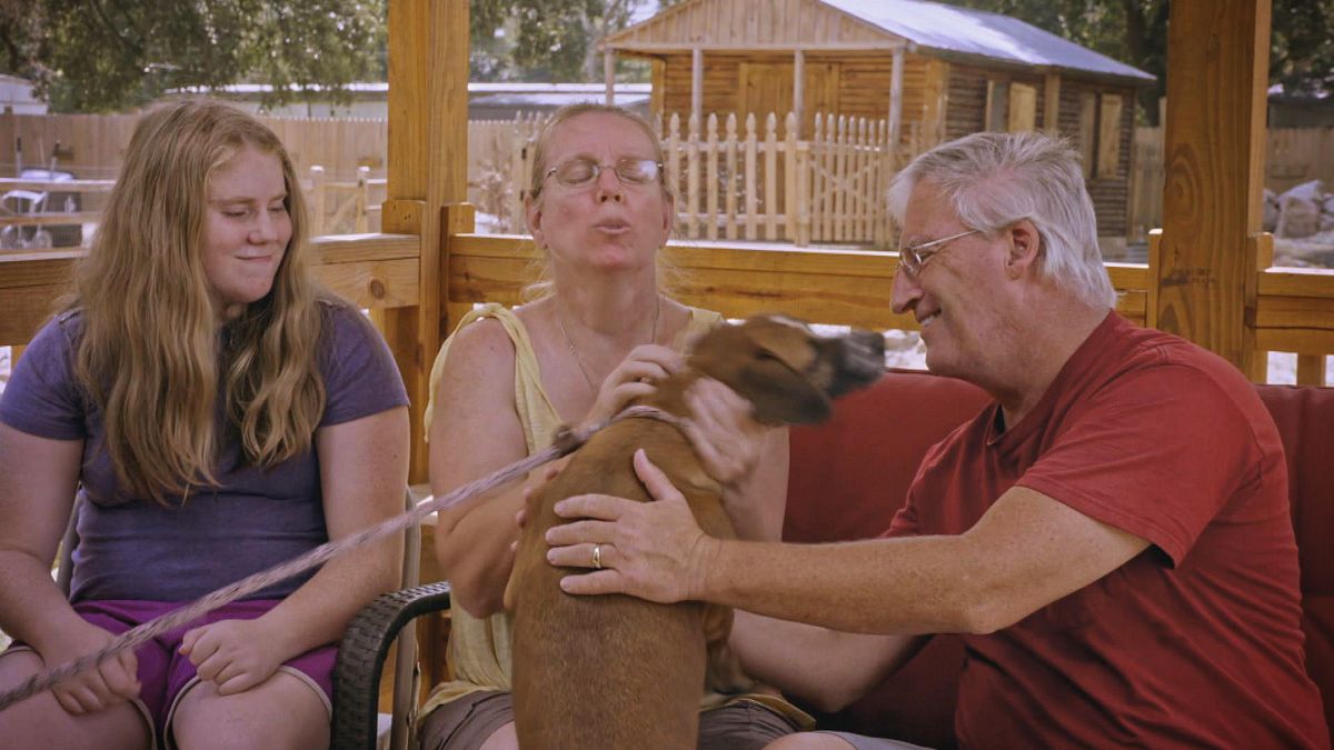 pitbulls auf bewährung