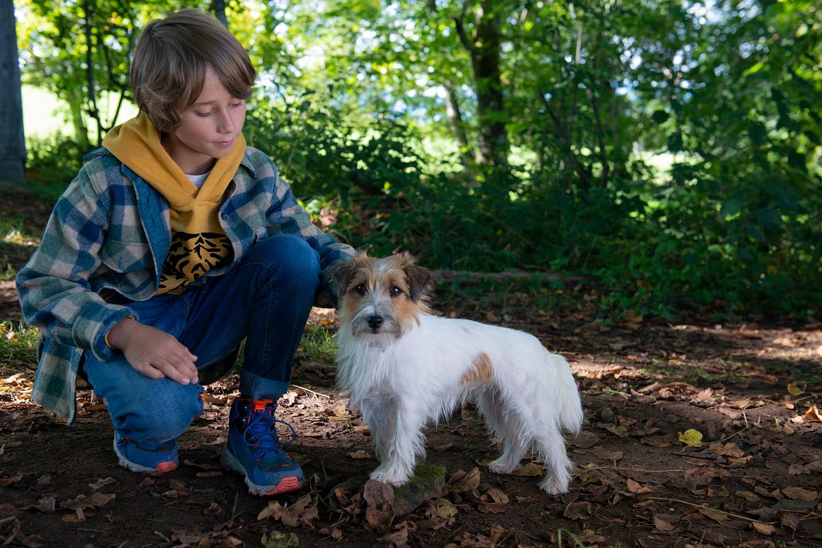 Tiere bis unters Dach tiere bis unters dach