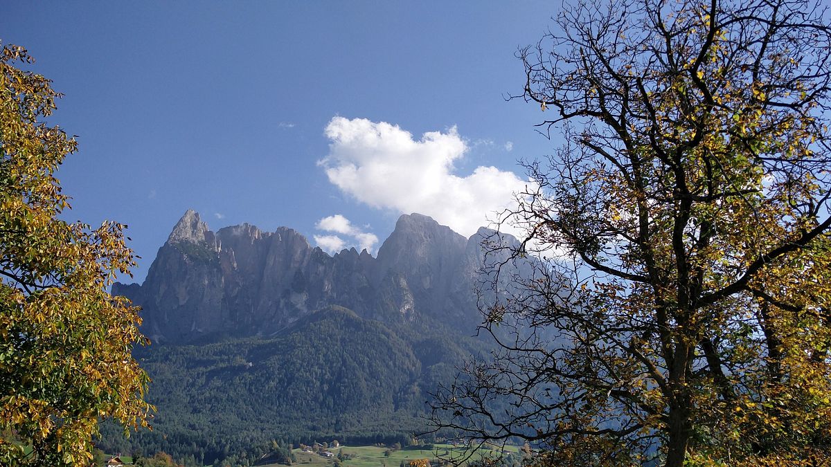 zurück zur natur