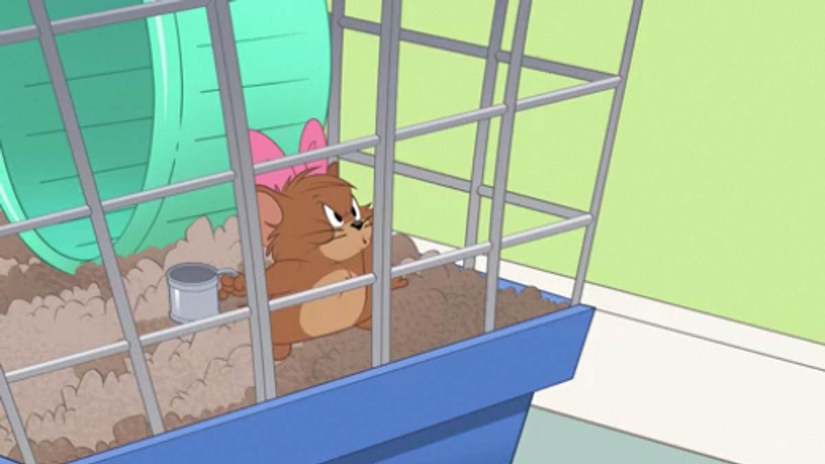 die tom und jerry show
