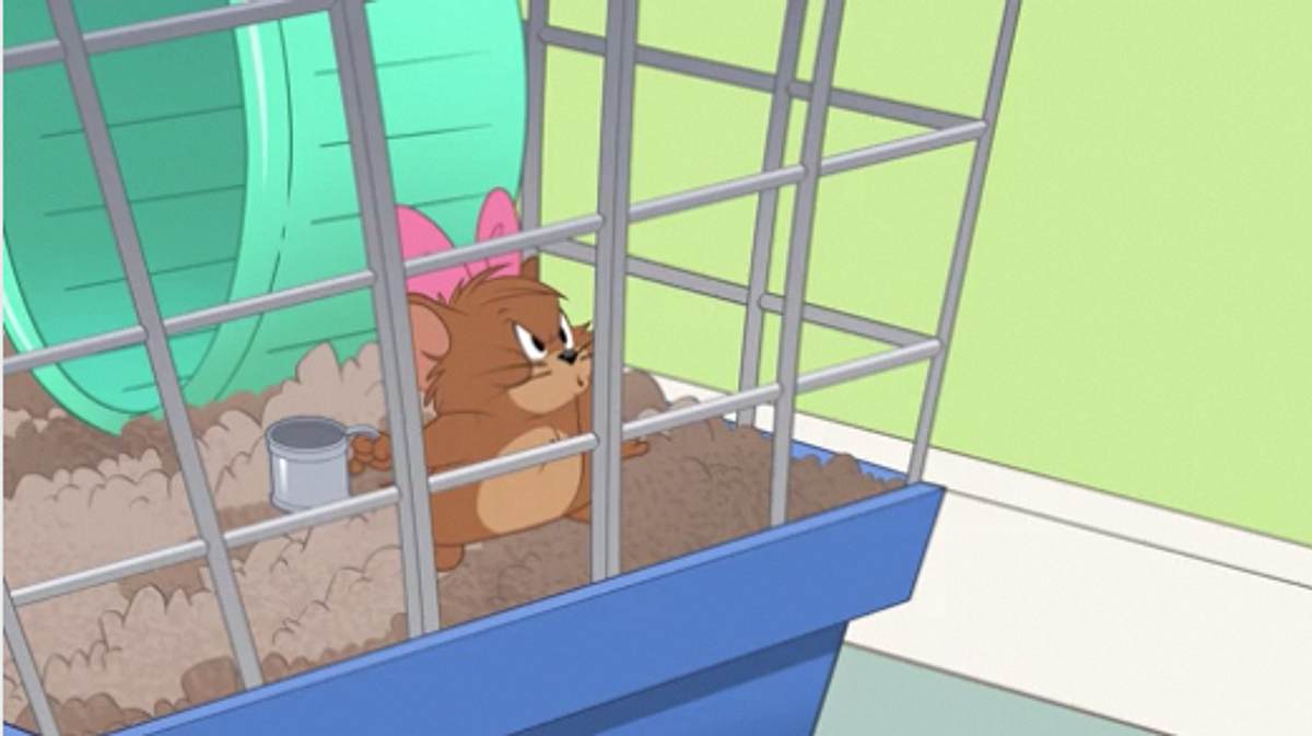 Die Tom und Jerry Show die tom und jerry show