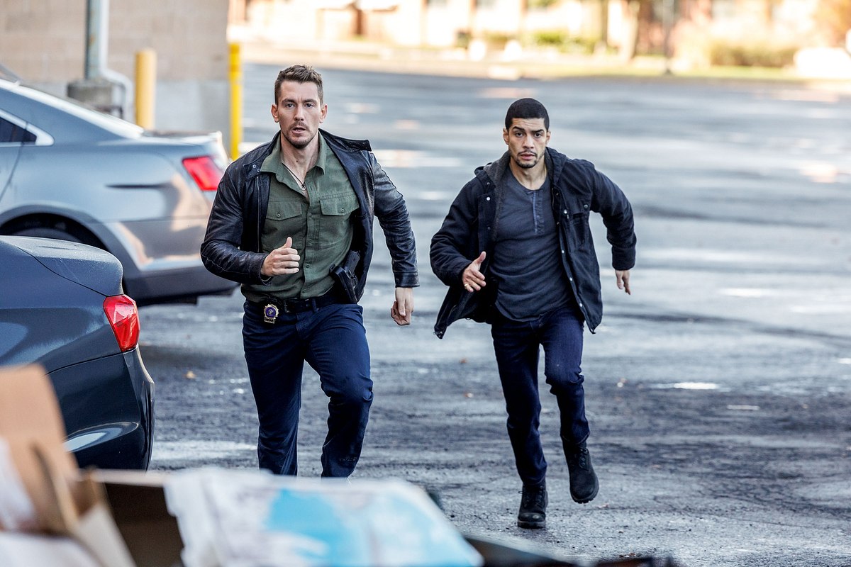 law & order: organized crime