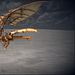 Leonardo Da Vinci - Der geniale Erfinder Thumbnail