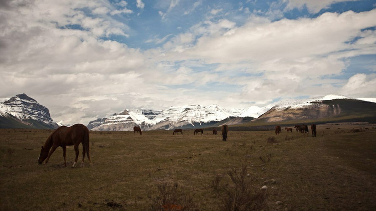 amerikas nationalparks