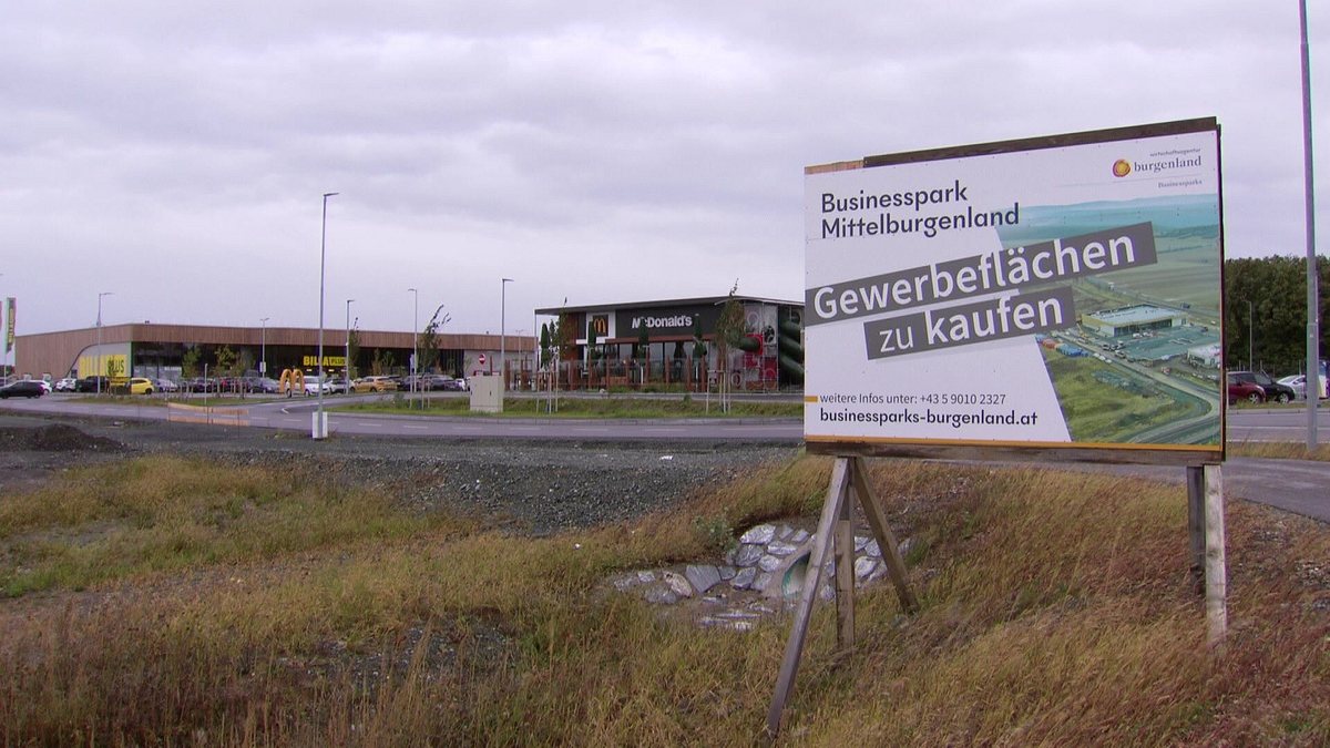 am schauplatz