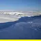 Polarwölfe Thumbnail
