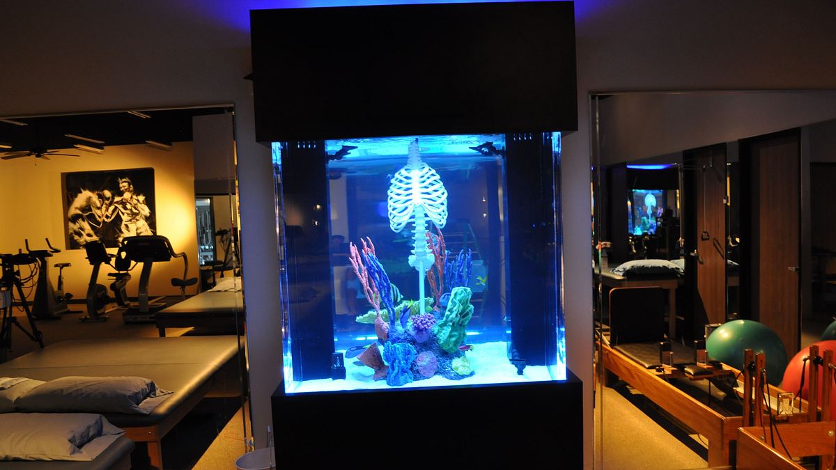 die aquarium-profis