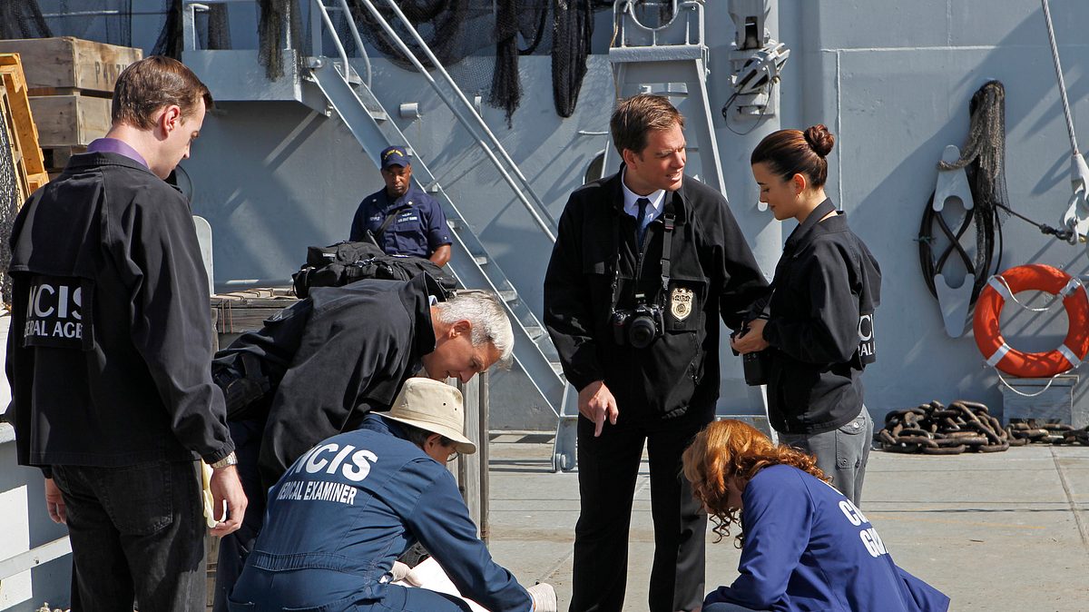 navy cis