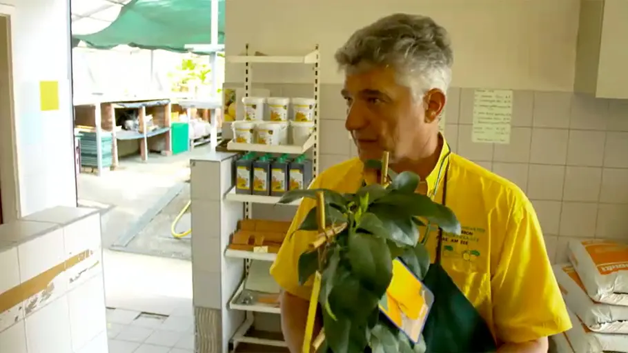 Der Traum vom Süden - Exotische Pflanzen in Österreich der traum vom süden - exotische pflanzen in österreich