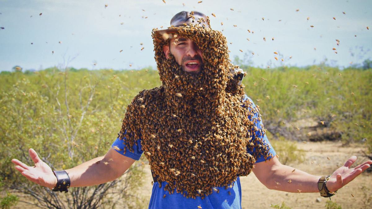 faszinierende tierwelt mit coyote peterson