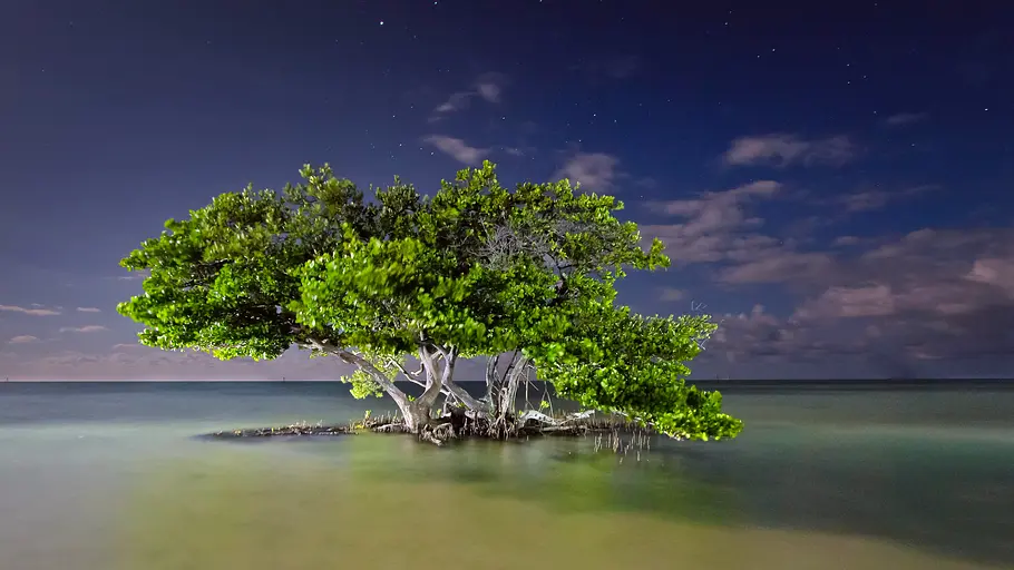 amerikas beste idee - 150 jahre nationalparks in den usa