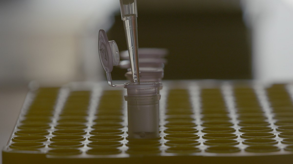 dna-spuren in die geschichte