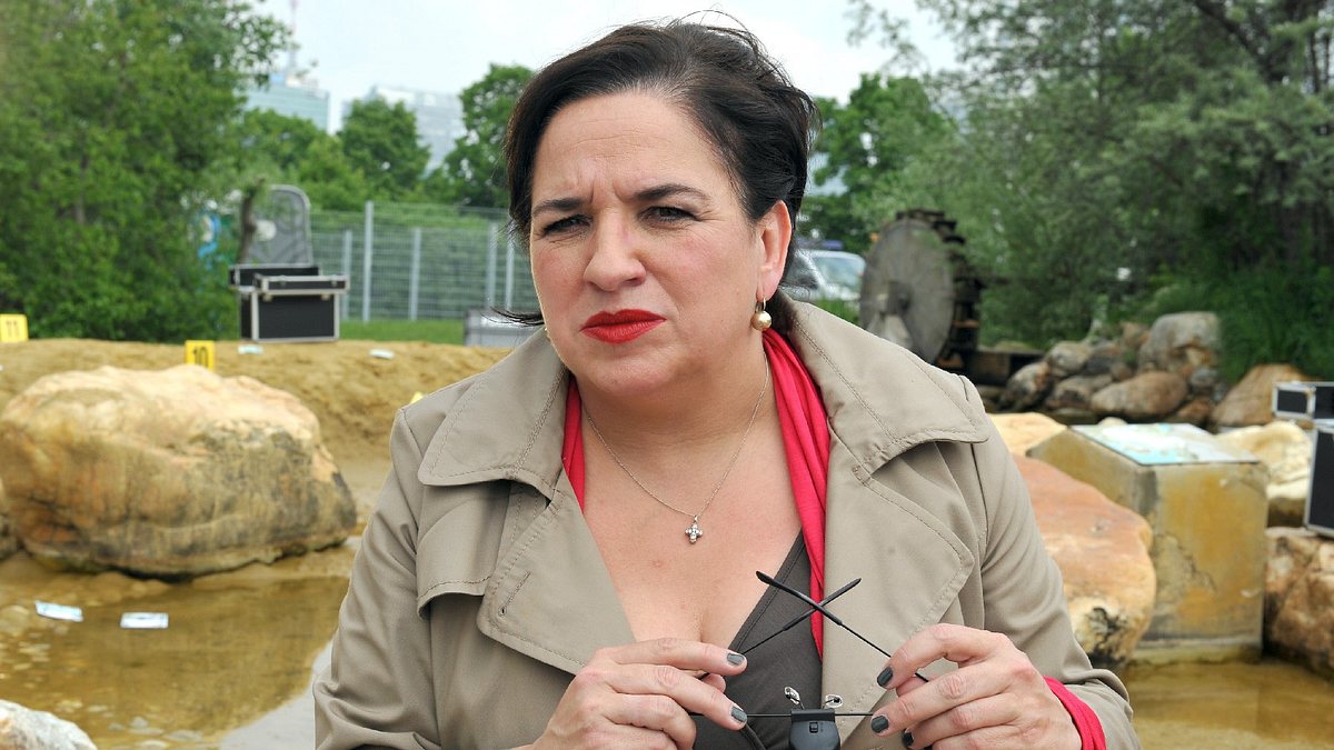 soko wien