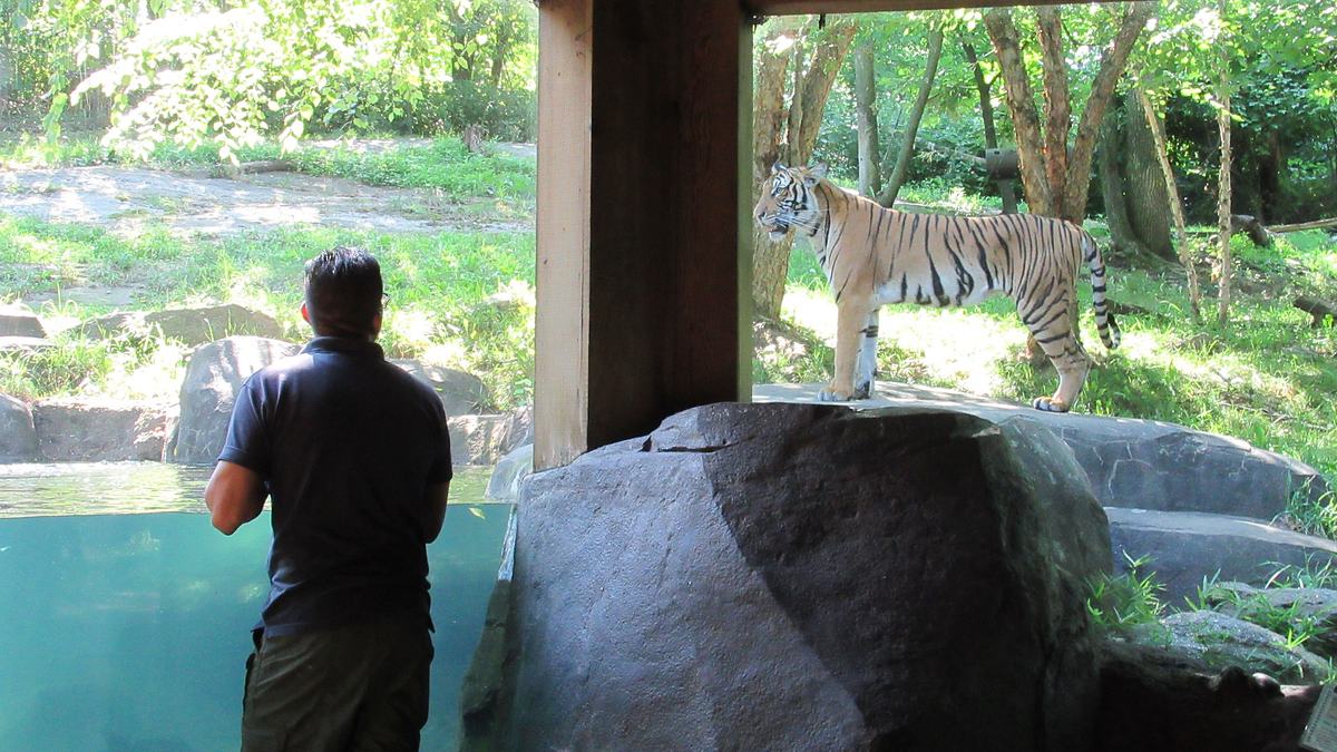 bronx zoo - tierpark der superlative