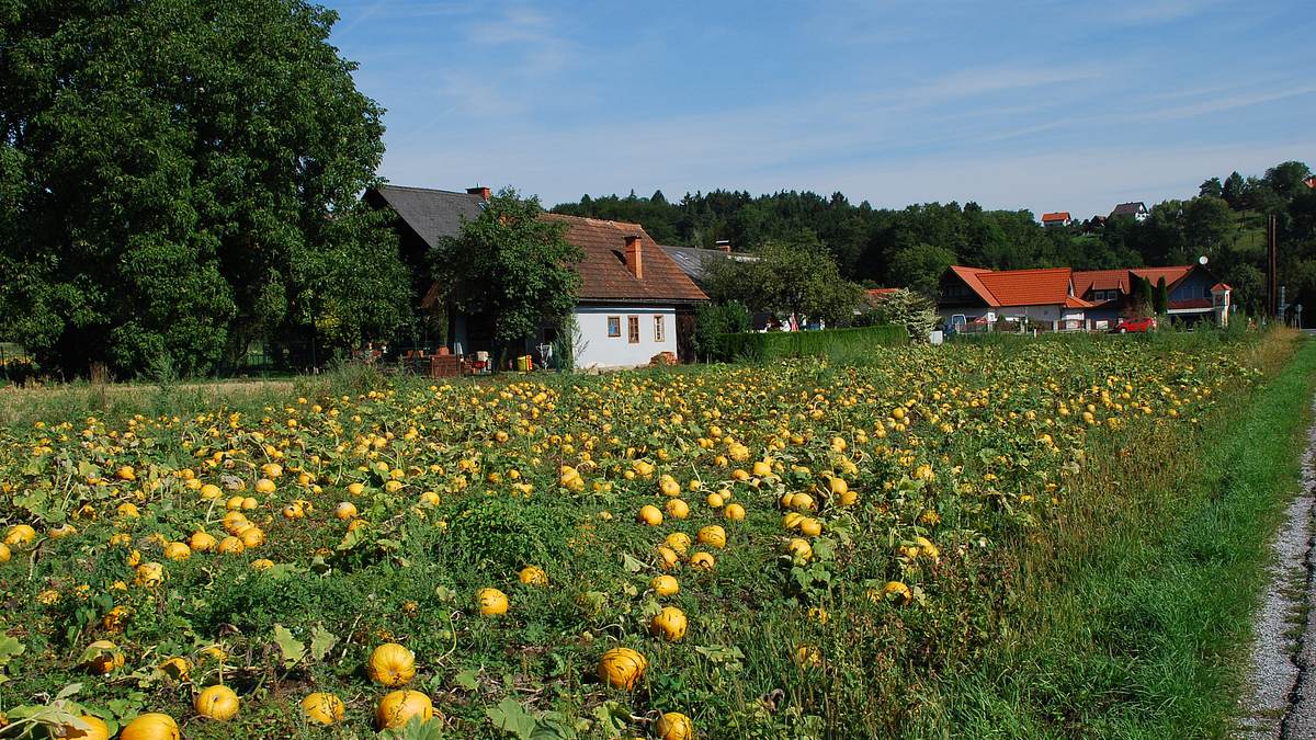 die schätze der erde