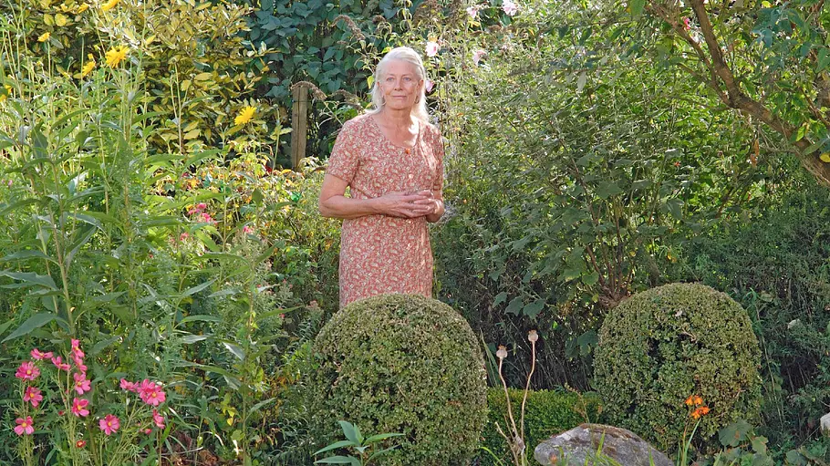 Rosamunde Pilcher: Die Muschelsucher rosamunde pilcher: die muschelsucher