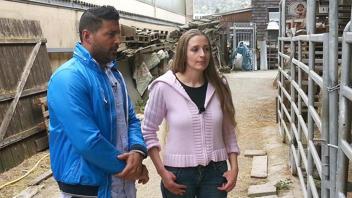 der trödeltrupp - das geld liegt im keller
