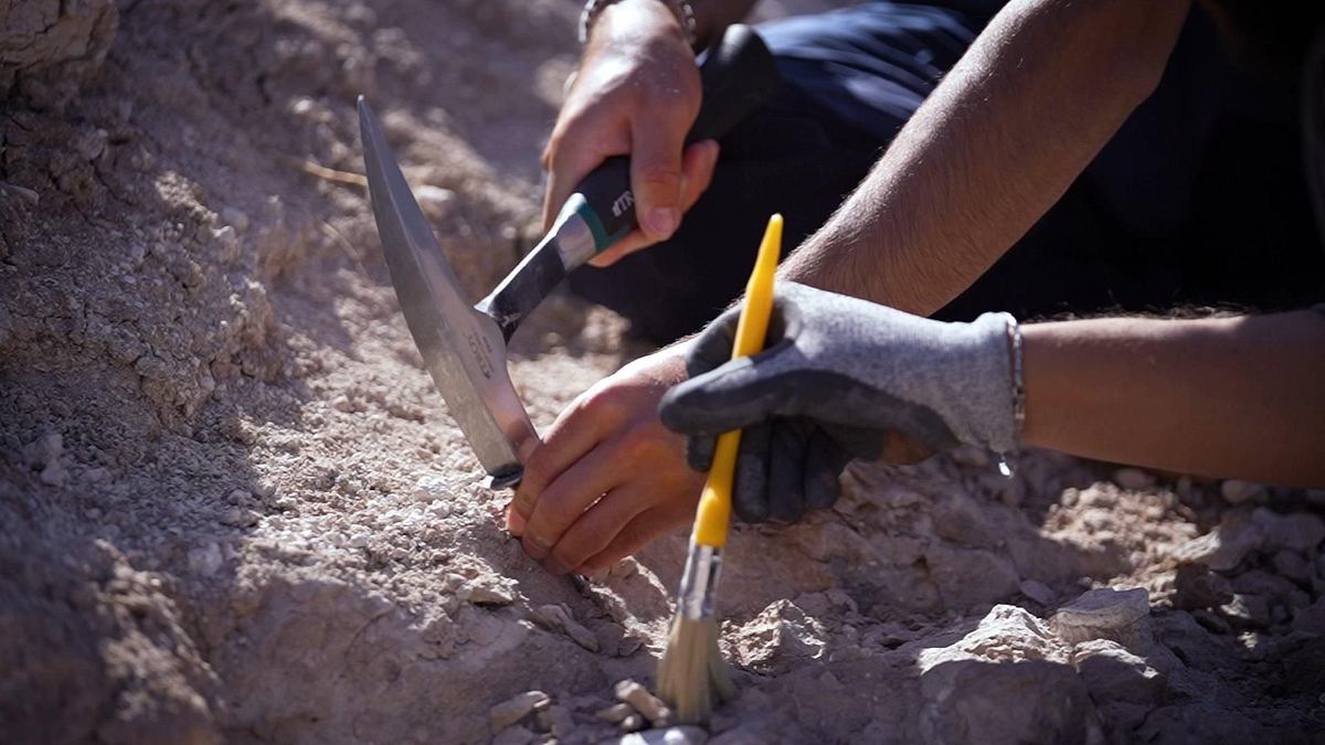 verborgen im eis: geheimnisse aus der vergangenheit