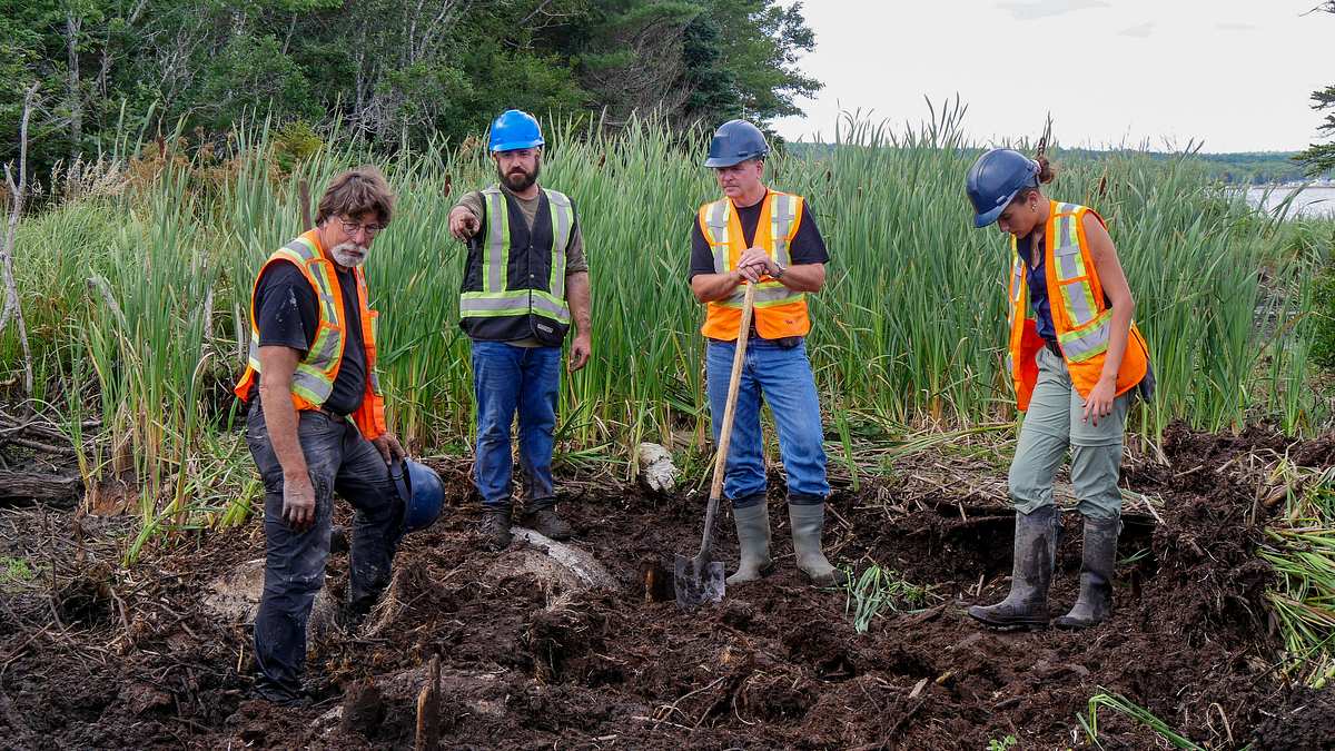 oak island - fluch und legende