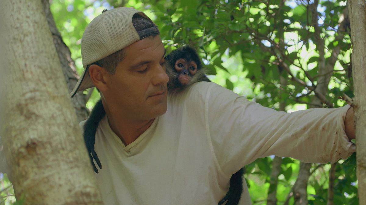 wild frank - abenteuer in mexiko