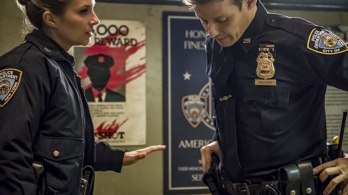 blue bloods - crime scene new york