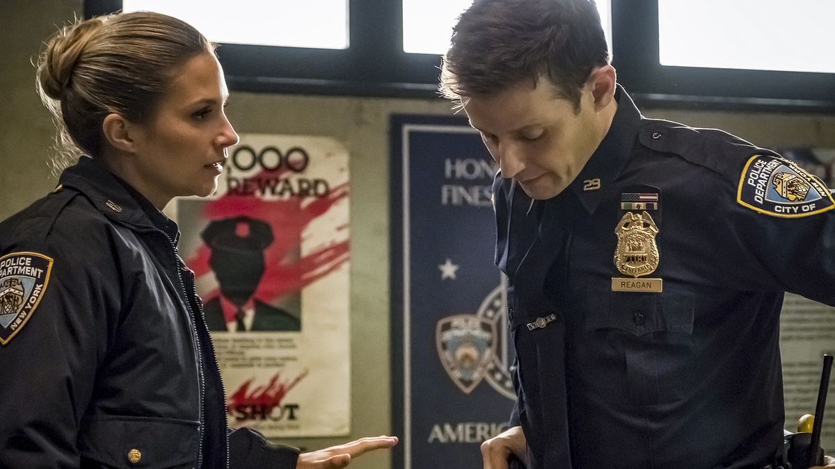 blue bloods - crime scene new york