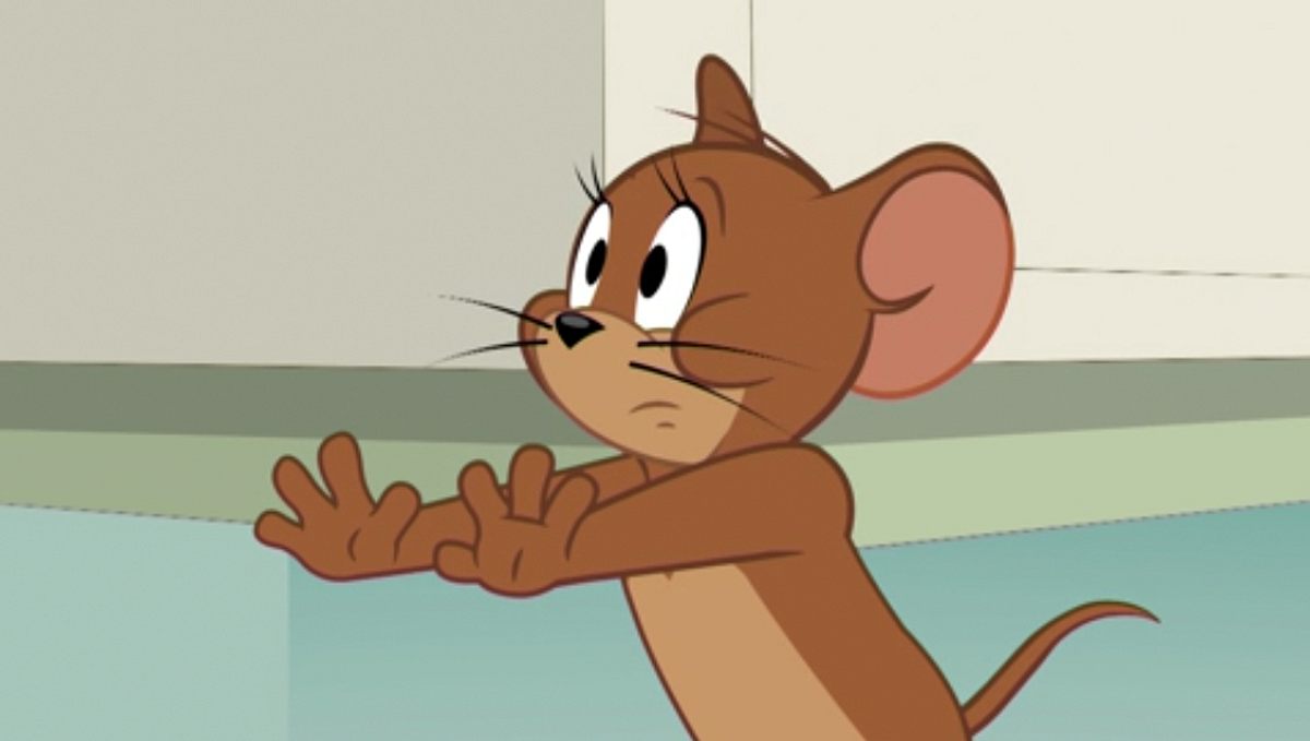 Die Tom und Jerry Show die tom und jerry show