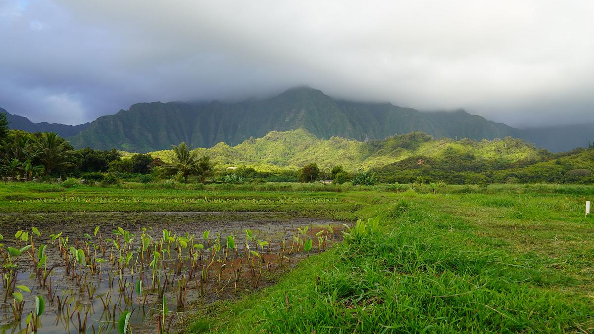 hawaii: aus feuer geboren