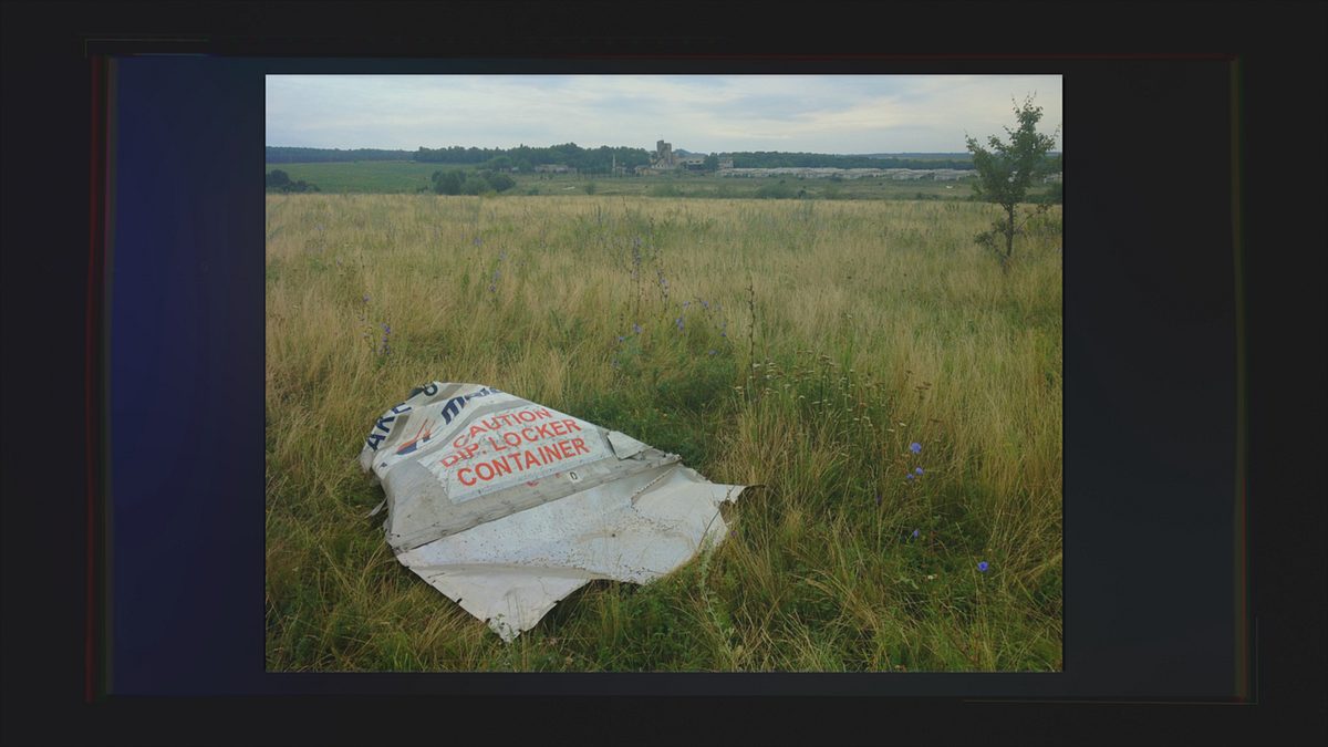 mord am himmel: wer hat flug mh17 abgeschossen?