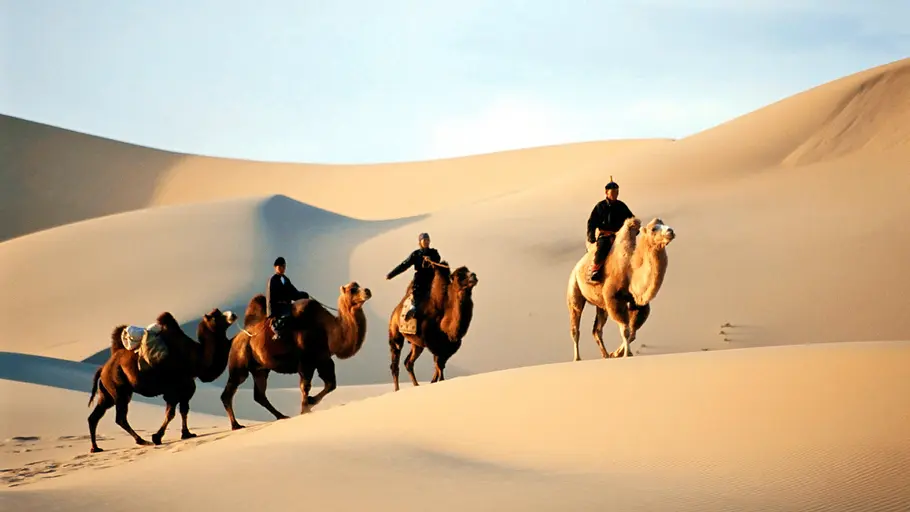 Universum universum