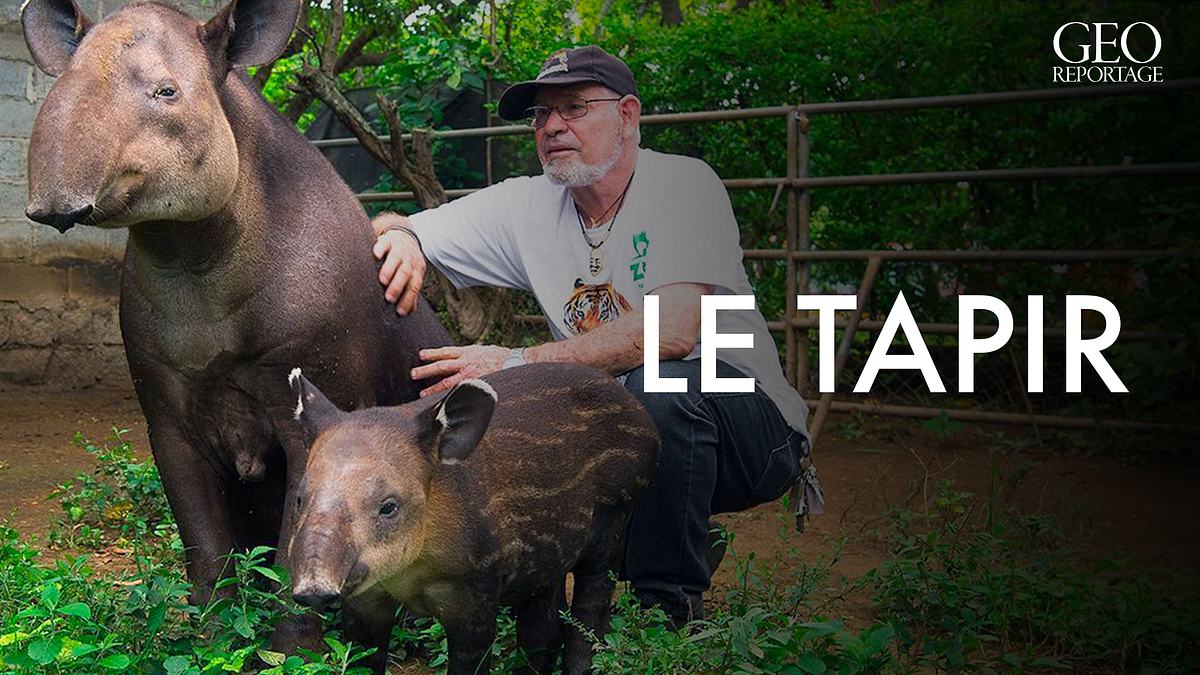 geo reportage