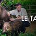 GEO Reportage Thumbnail