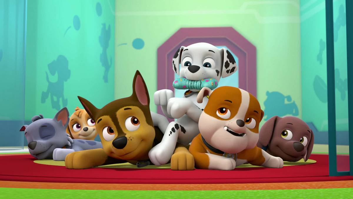 paw patrol - helfer auf vier pfoten