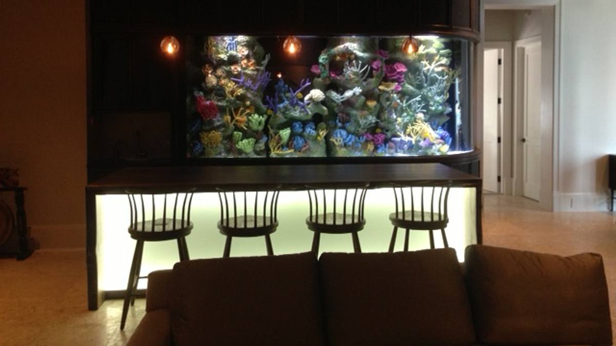 fish tank kings - gigantische wasserwelten