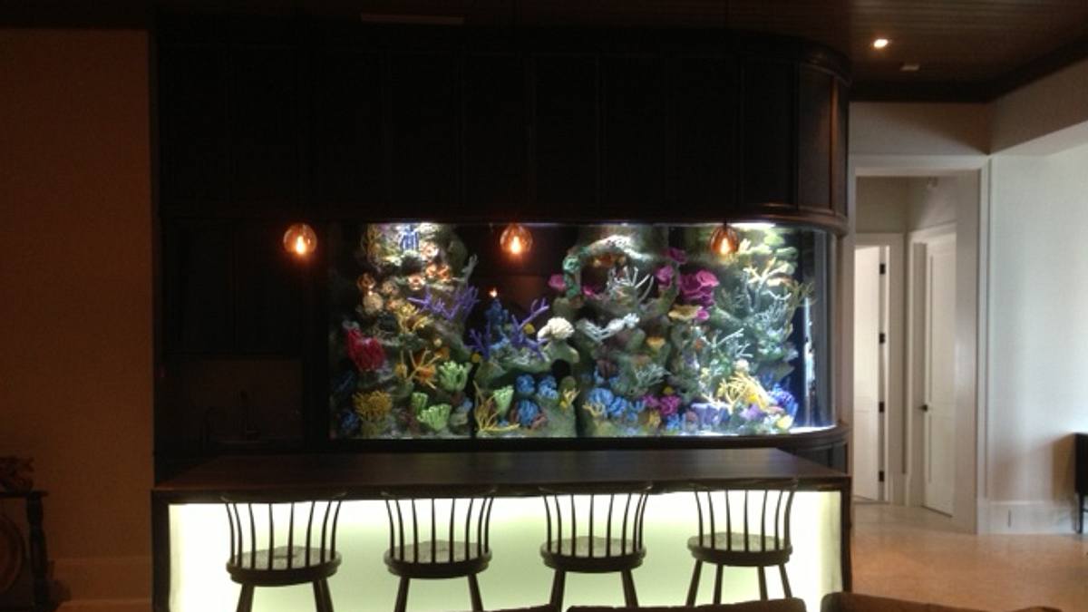 fish tank kings - gigantische wasserwelten