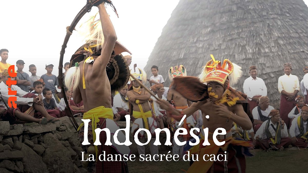 die peitschenkämpfer von indonesien