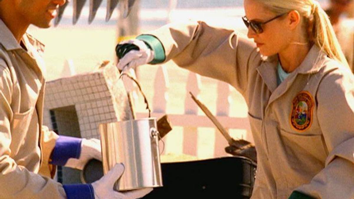 csi: miami