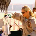 CSI: Miami Thumbnail