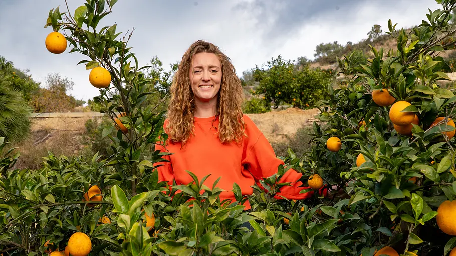 Orangen - Genuss mit Beigeschmack orangen - genuss mit beigeschmack