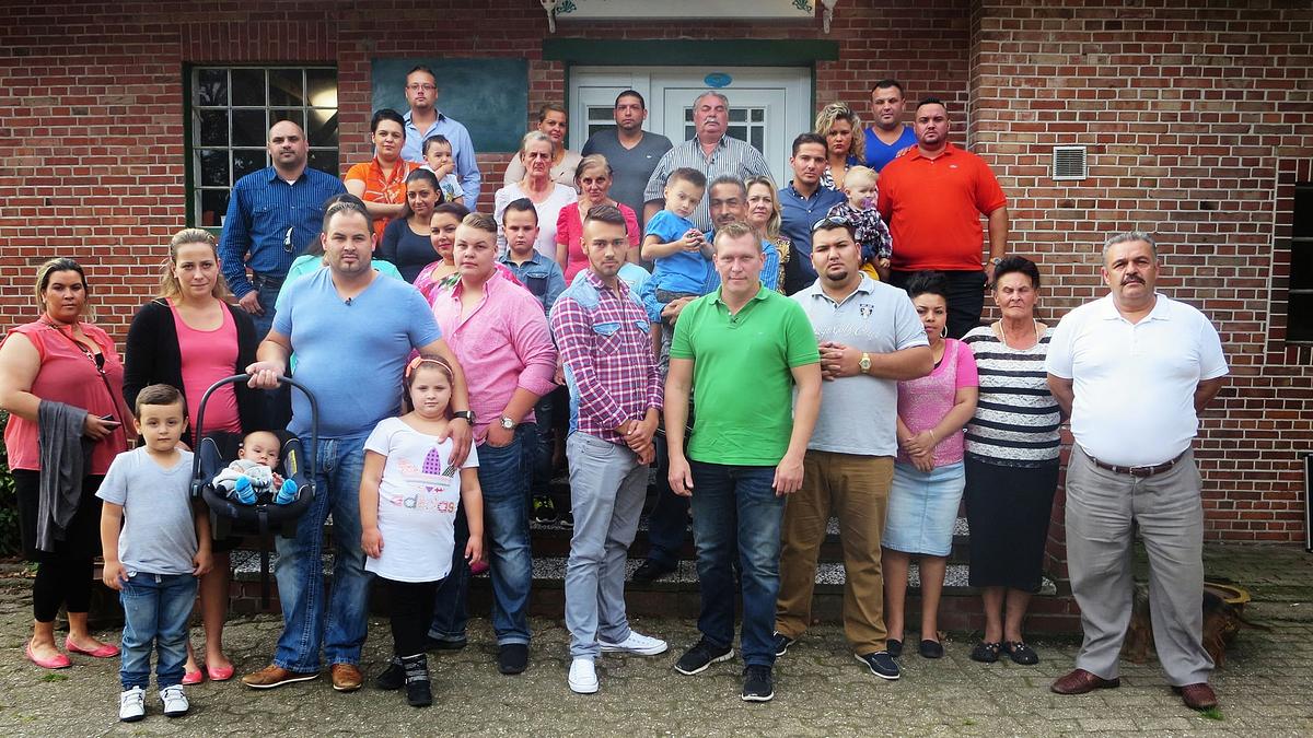 Der Trödeltrupp - Das Geld liegt im Keller der trödeltrupp - das geld liegt im keller