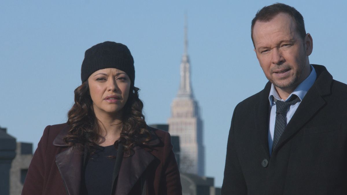 blue bloods - crime scene new york