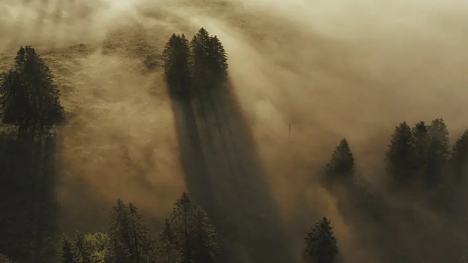 3satthementag: film ab - schweiz