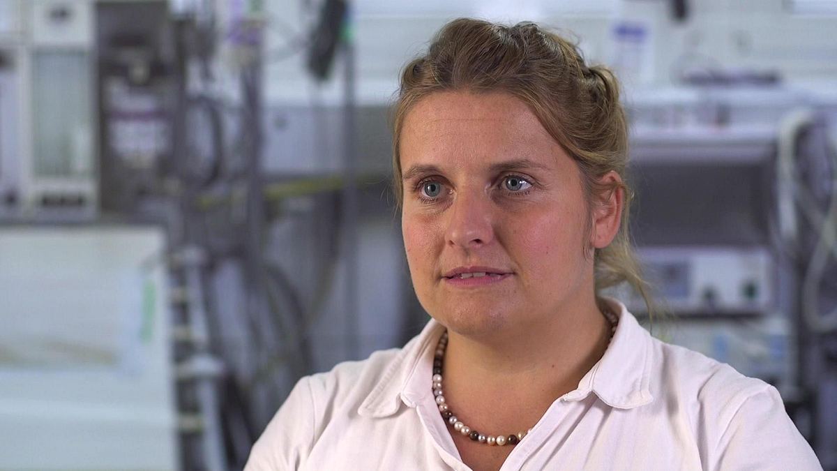 hautnah: die tierklinik