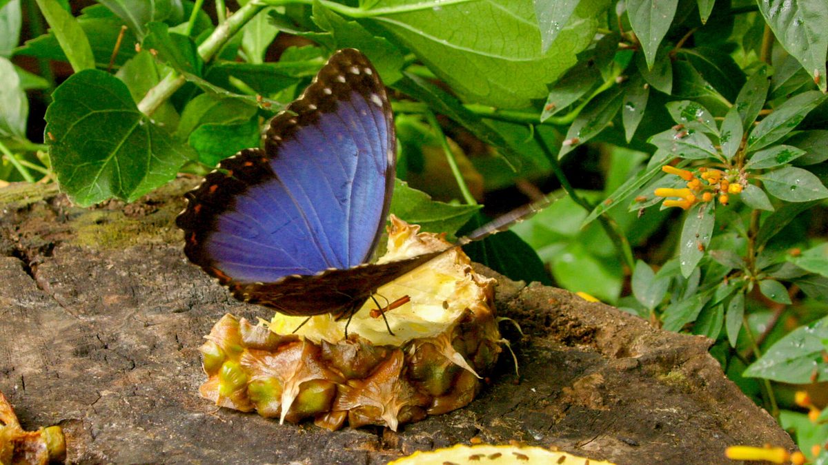 zoo und so - tierisch wild!