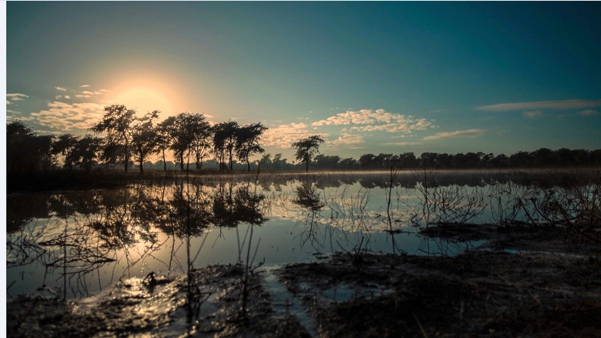gorongosa: ein paradies kehrt zurück