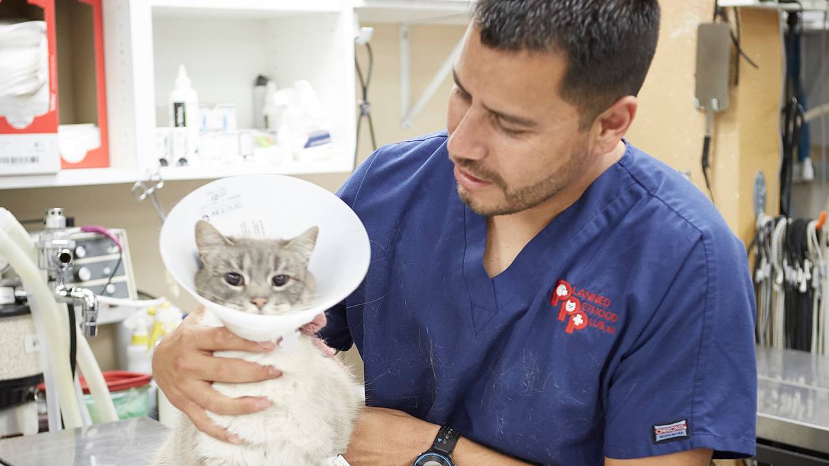 tierarzt dr. jeff