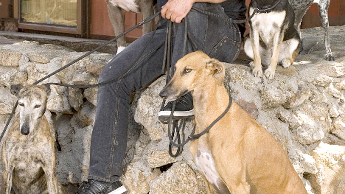 cesar millan: guter mensch, guter hund
